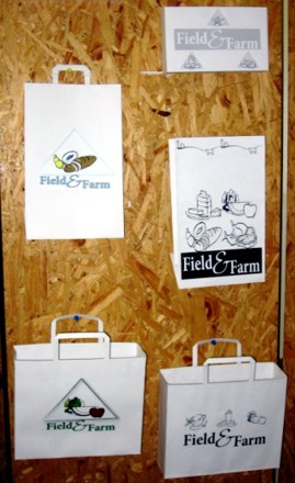 Conceptions for logos 