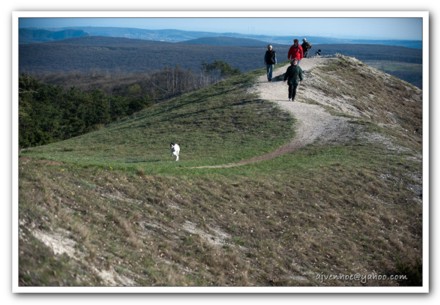 Hike in the Buda Hills, west of the city 