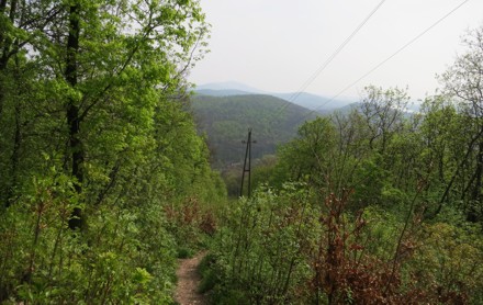 Up the steepest hill of the hike.