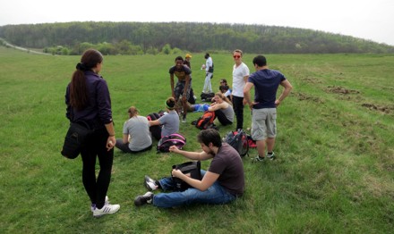 Relaxing in a meadow 